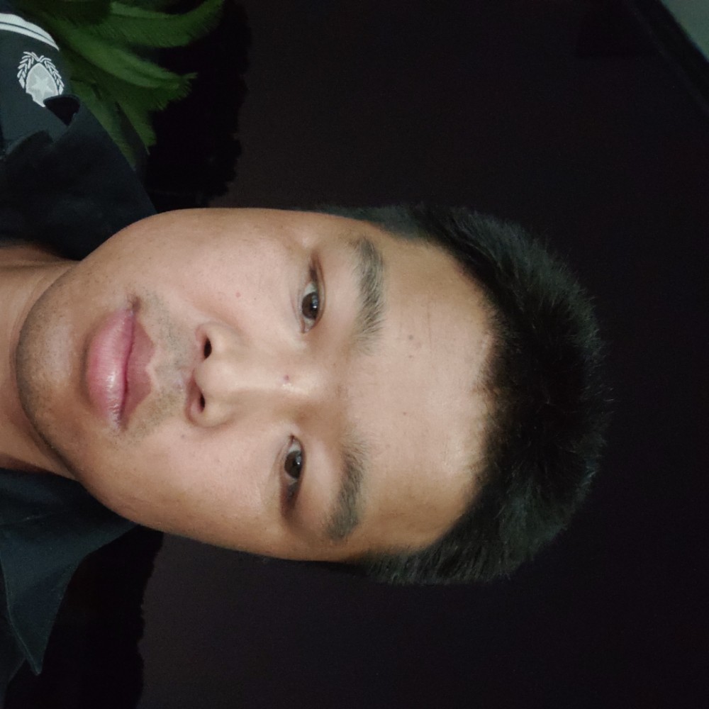 忧伤还龙猫的照片