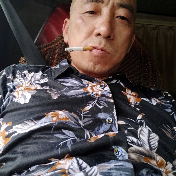 零碎苦恋豌豆的照片