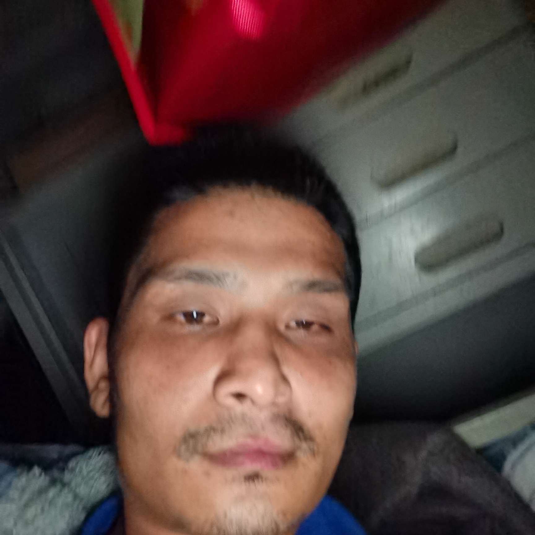 失眠挽手惊鸿的照片