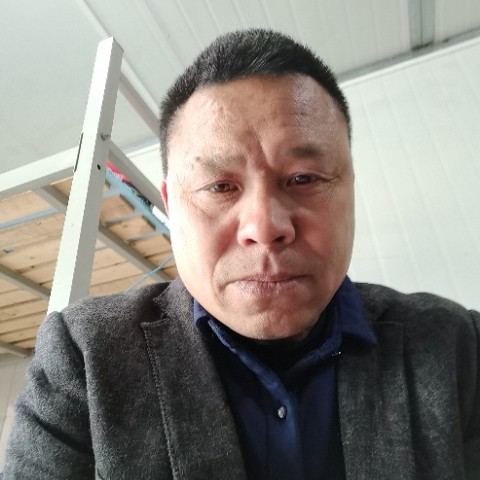 老迟到的小蚂蚁的照片