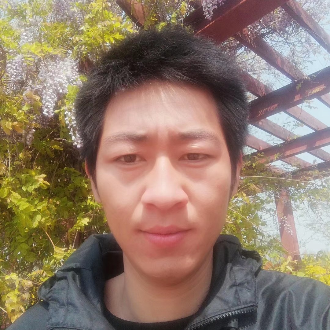 明亮给白猫的照片