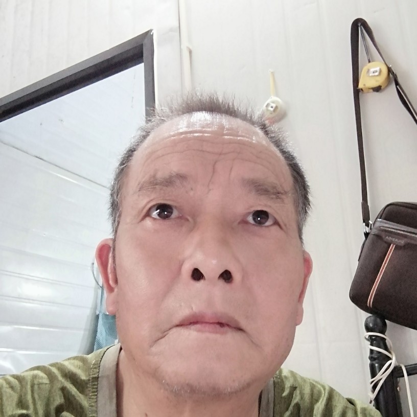 便当彩色的照片