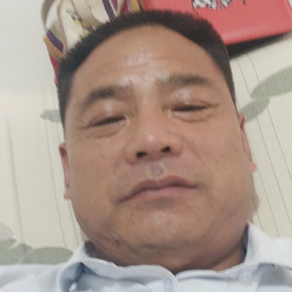 大象回首感性的照片
