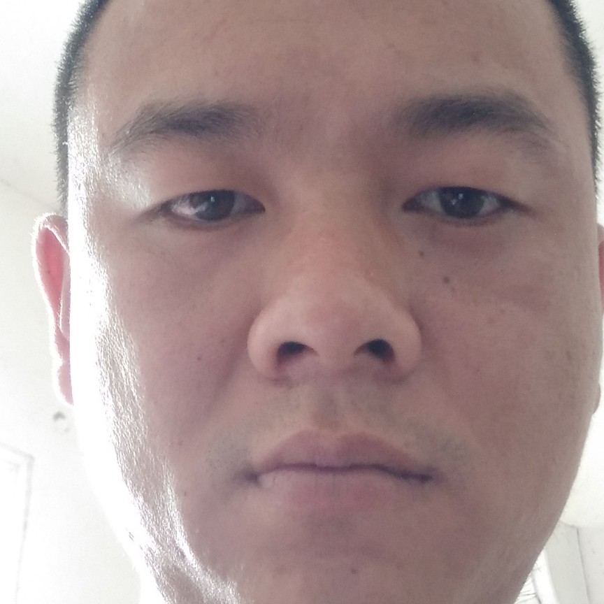 一生陪伴的照片