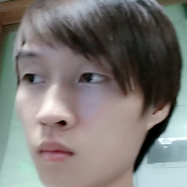 玫瑰蹁跹如意的照片