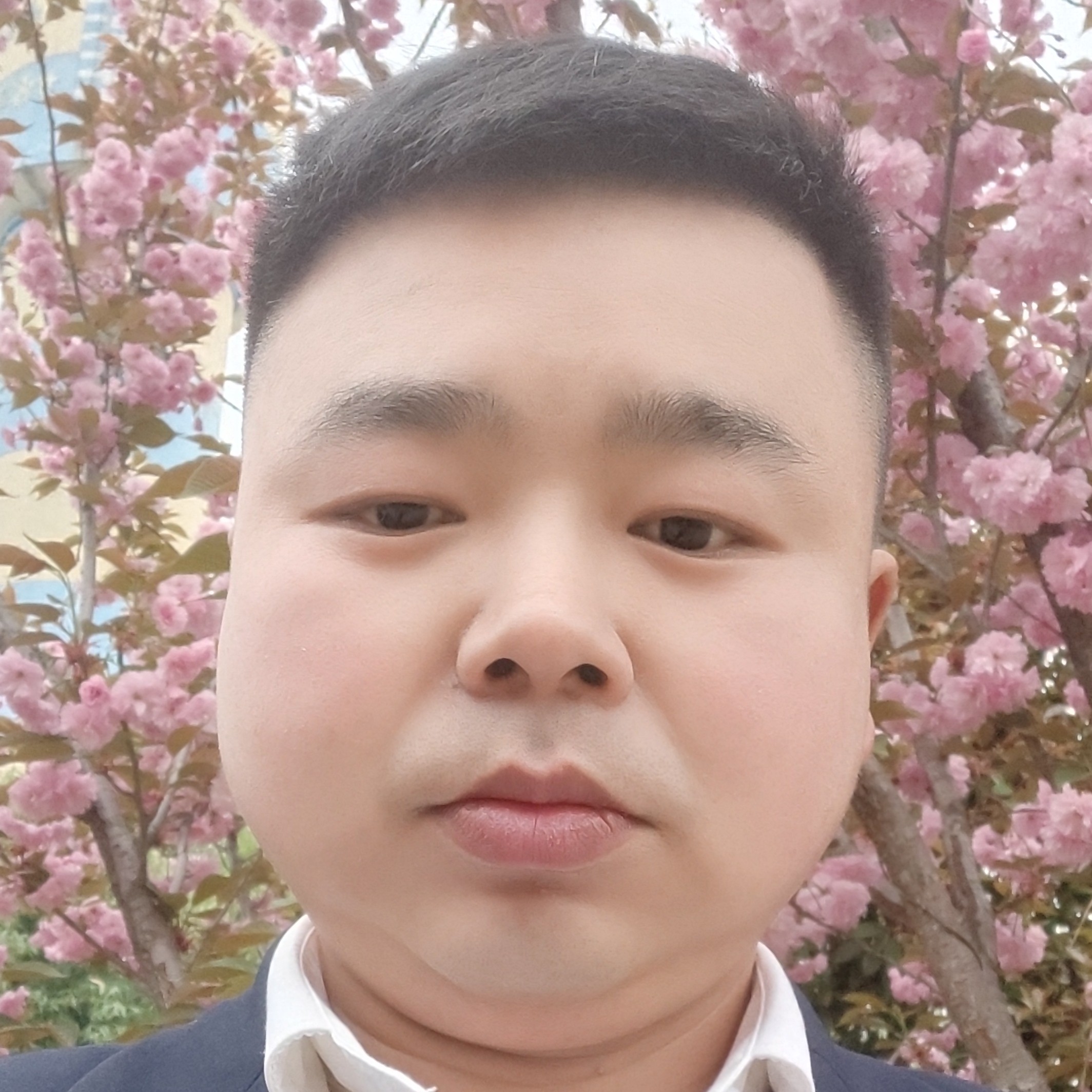 表骅的照片