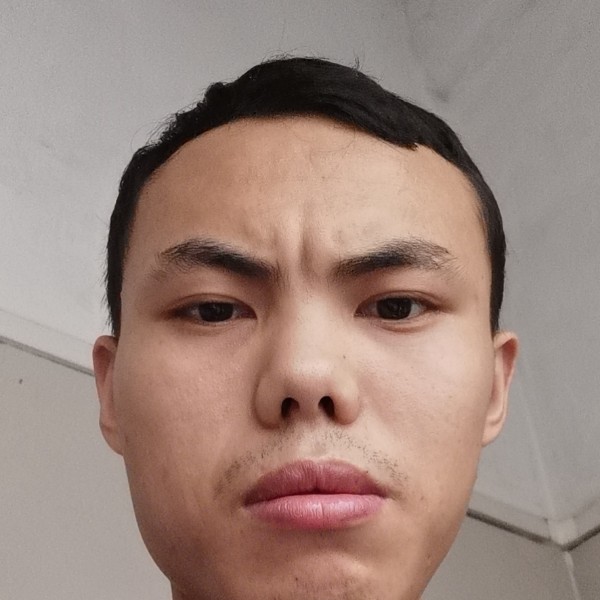 羊与孝顺的照片