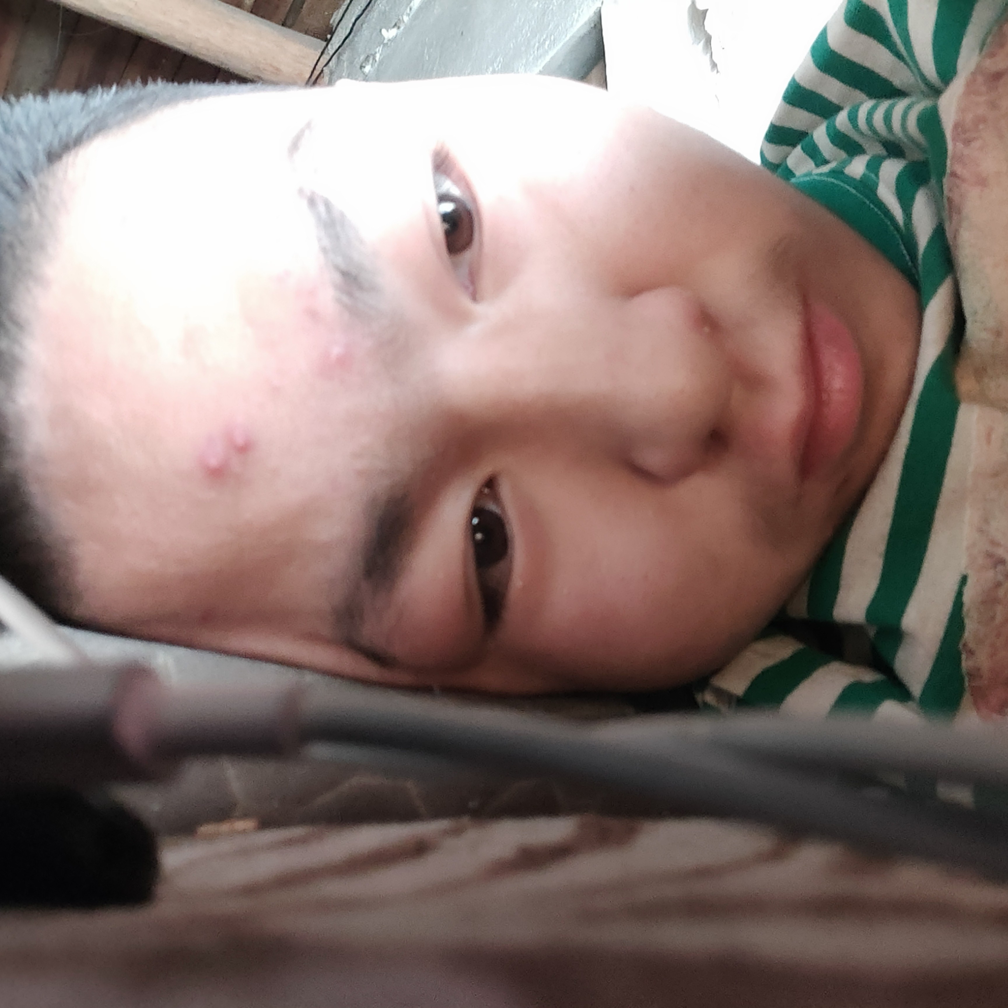 迷人de垂柳的照片