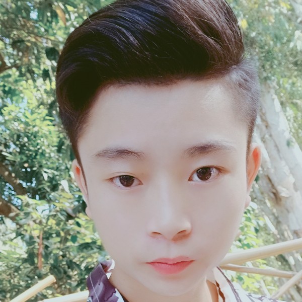 妩媚放弃红玫瑰的照片