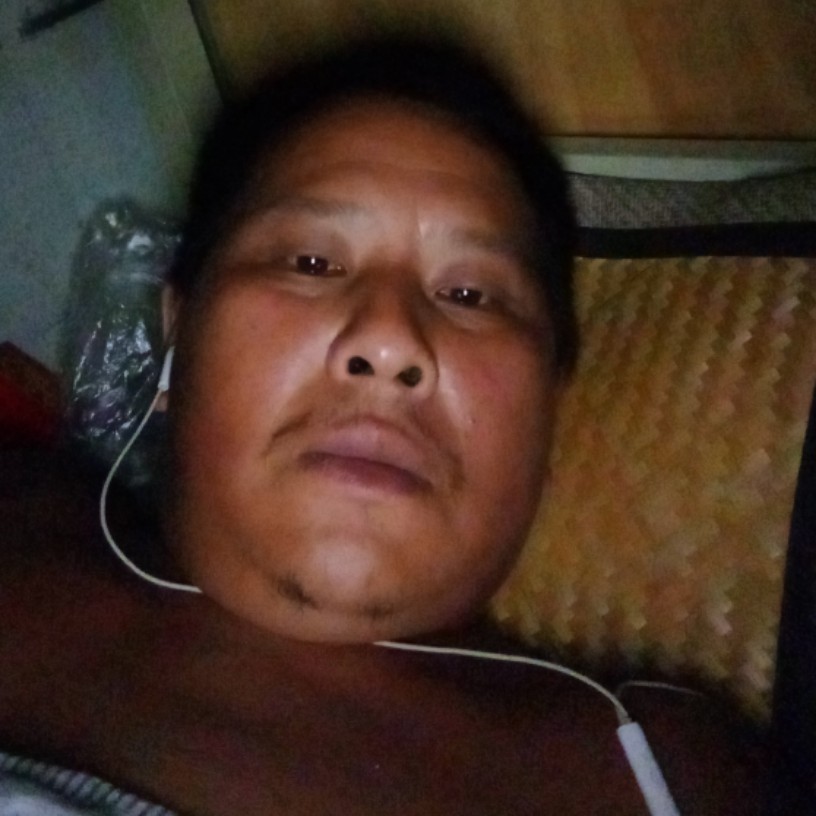 爱笑说含羞草的照片