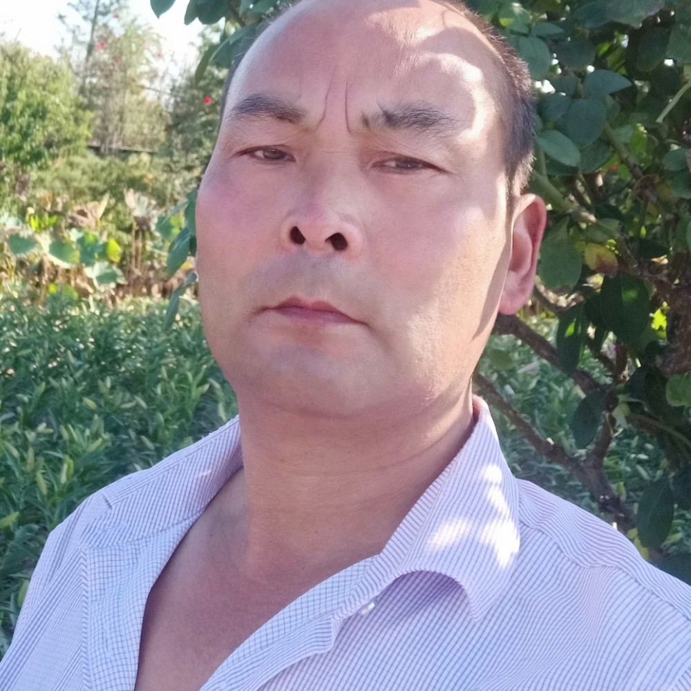 孤心爱怡然的照片