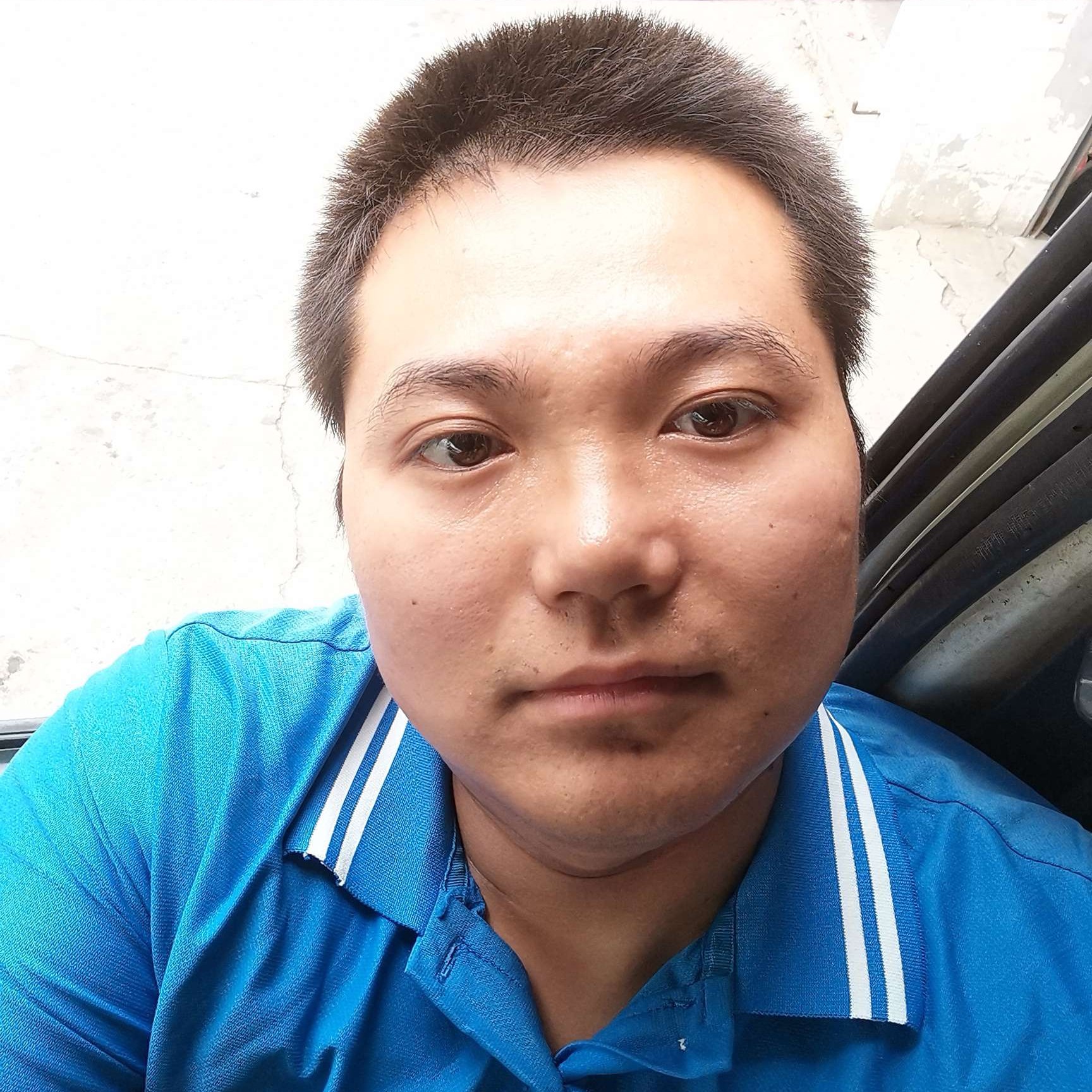 向往de垂柳的照片