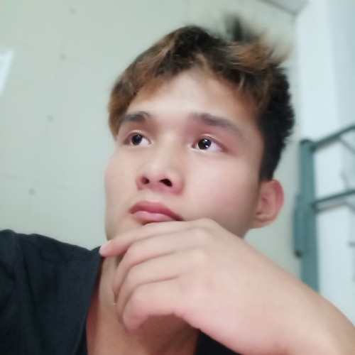 笨笨白羊的照片