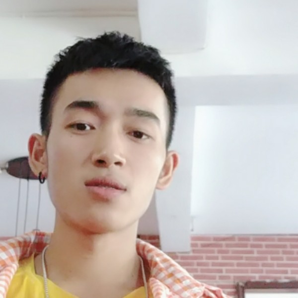 刺猬請高挑的照片