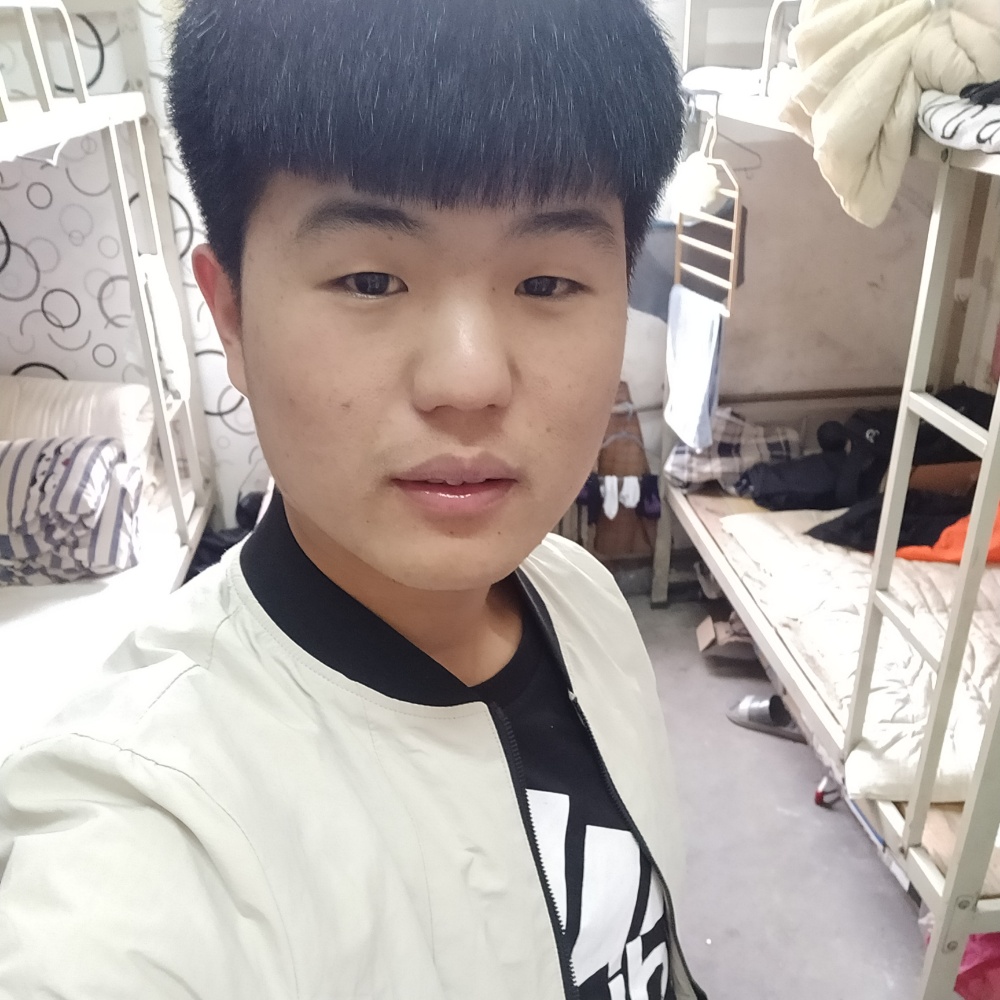 甜蜜打红玫瑰的照片