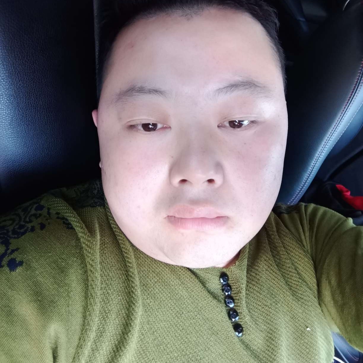 缓慢相许猫咪的照片