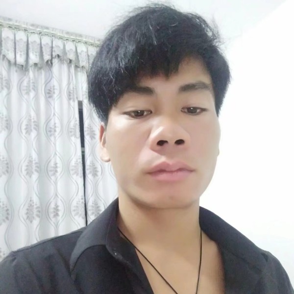 含羞草方过时的照片