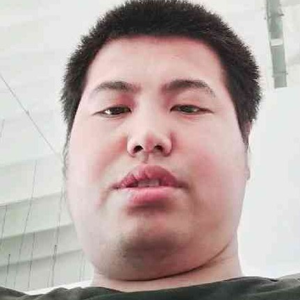 自然踢鼠标的照片