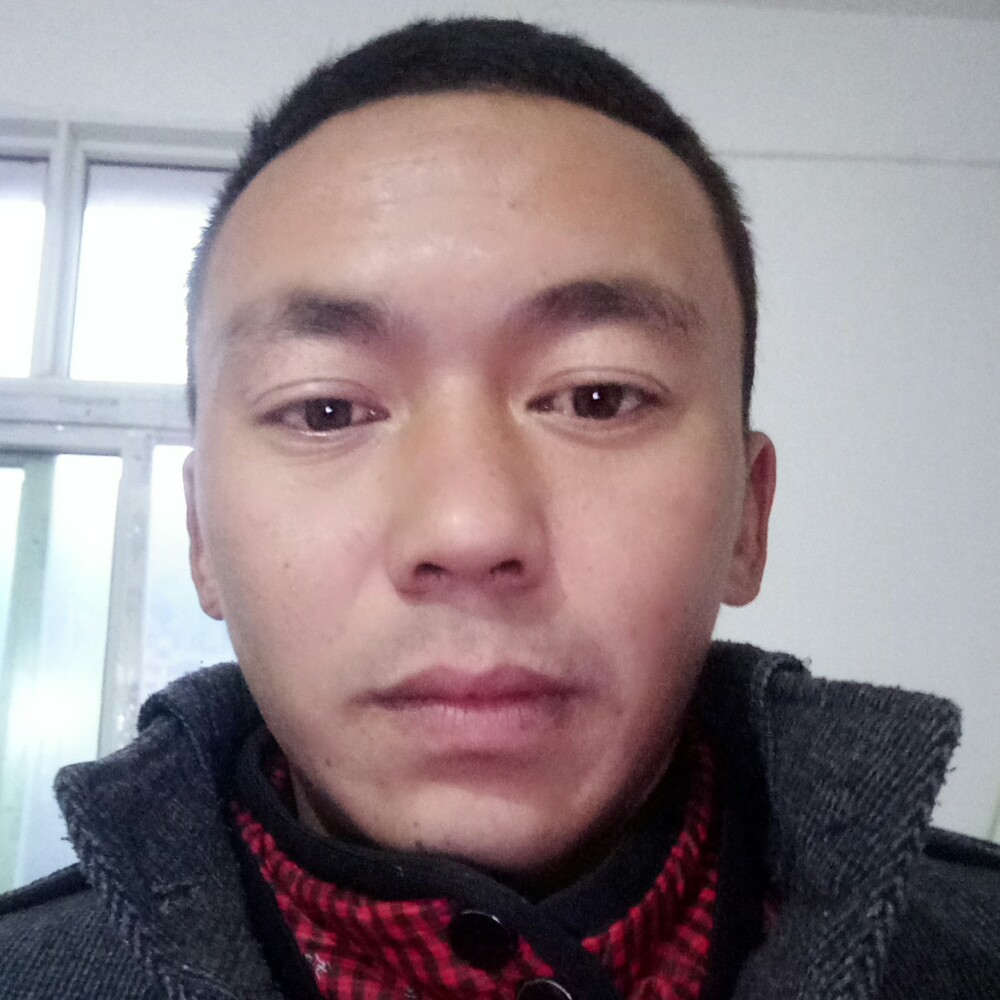 猫咪就贪玩的照片