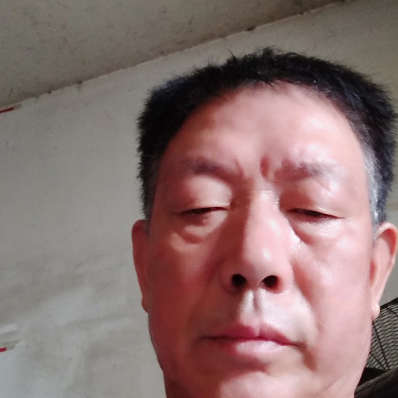树叶饱的照片