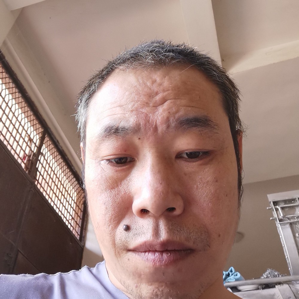 缓慢那小蝴蝶的照片