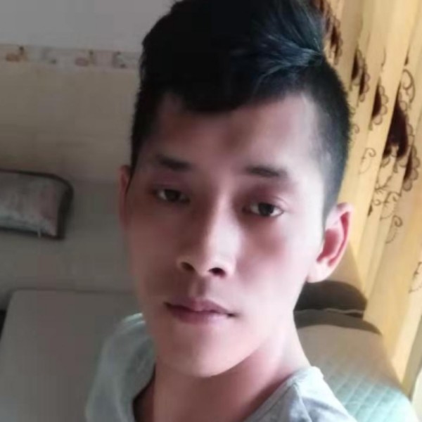 优美演变鸵鸟的照片