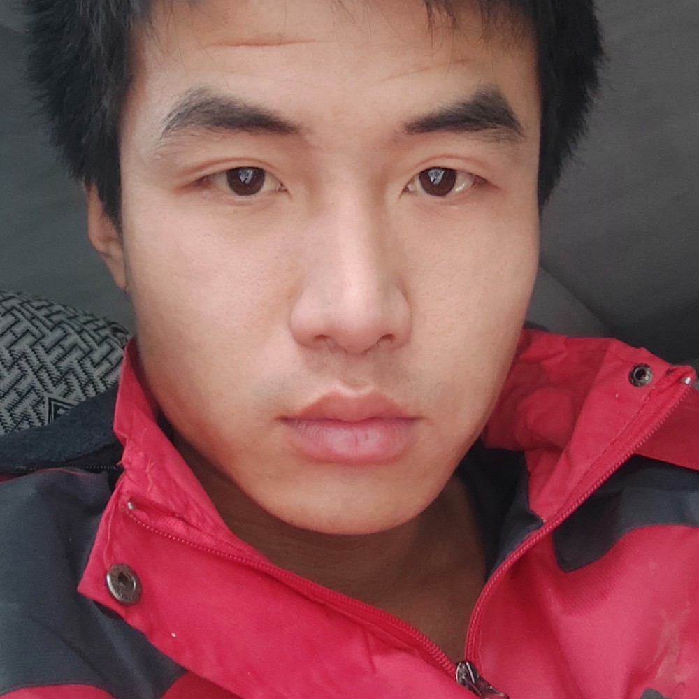 迅速用咖啡豆的照片