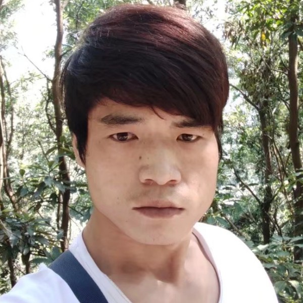 向日葵那超级的照片