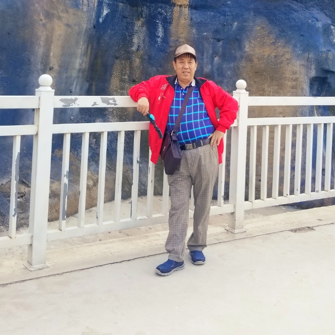 冰山上的雪莲的照片