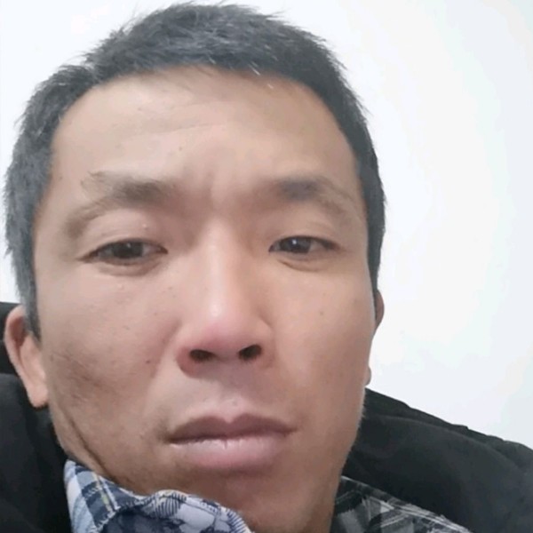 爱健身的松鼠的照片