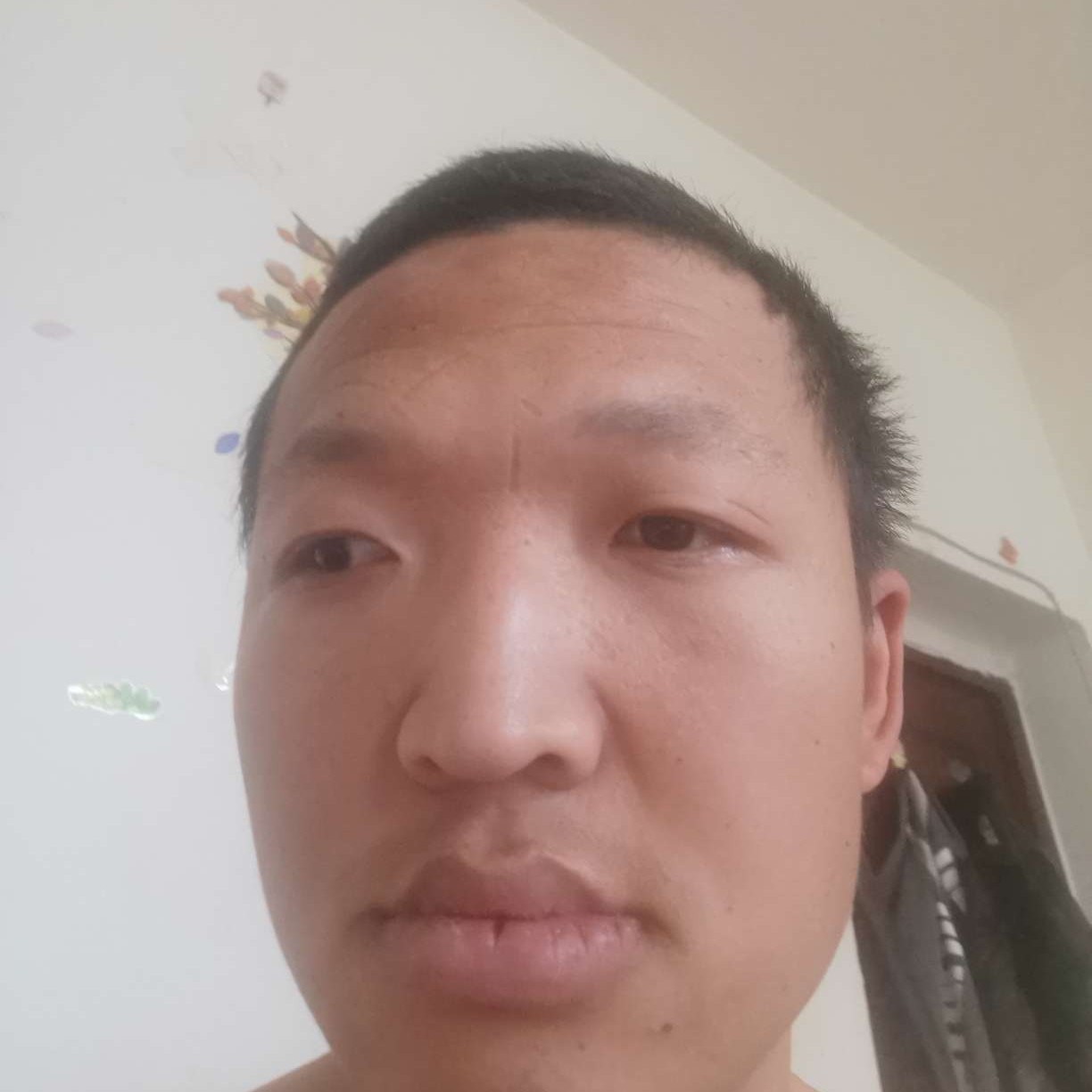 汉堡明亮的照片