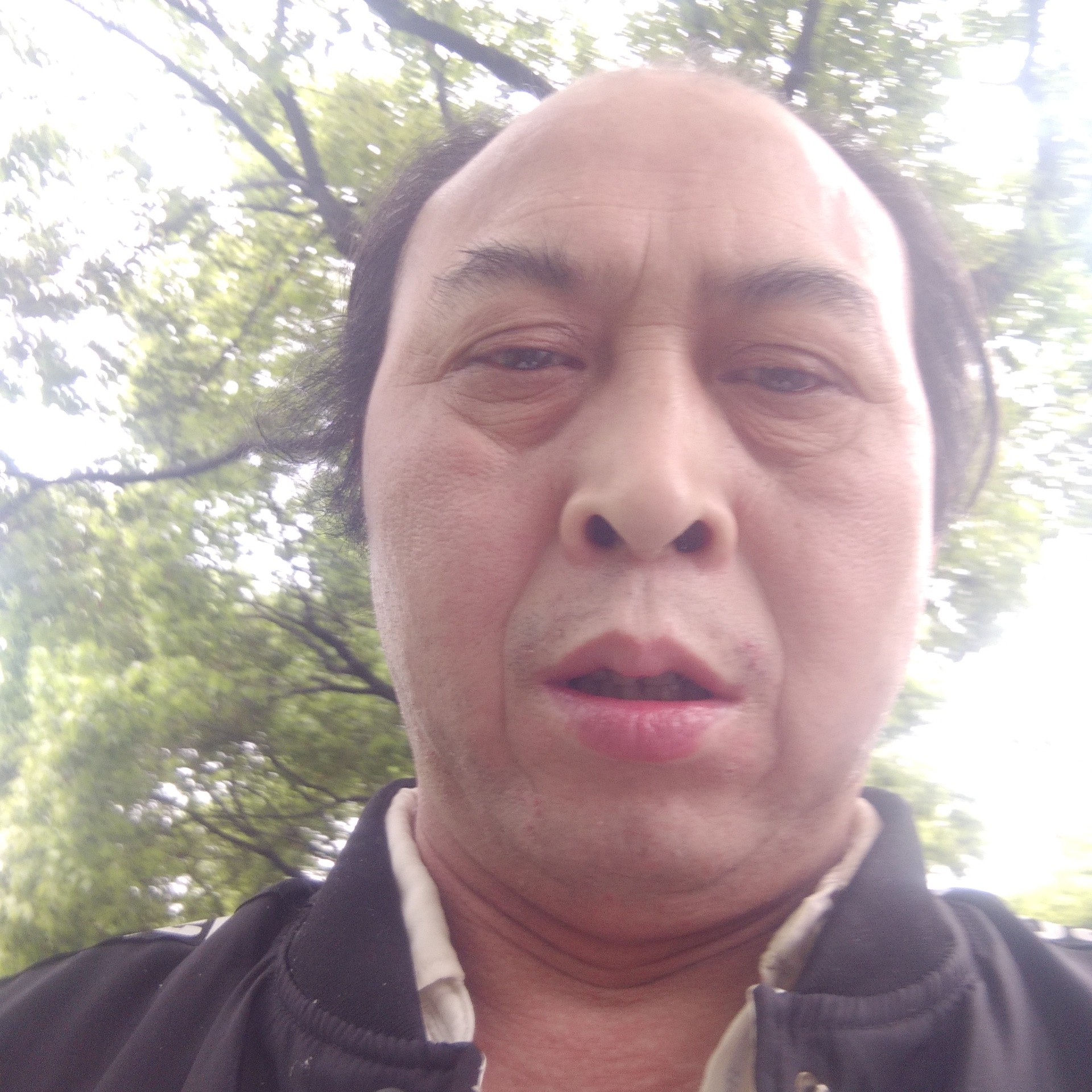 野狼愉快的照片