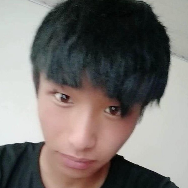 翅膀错落的照片