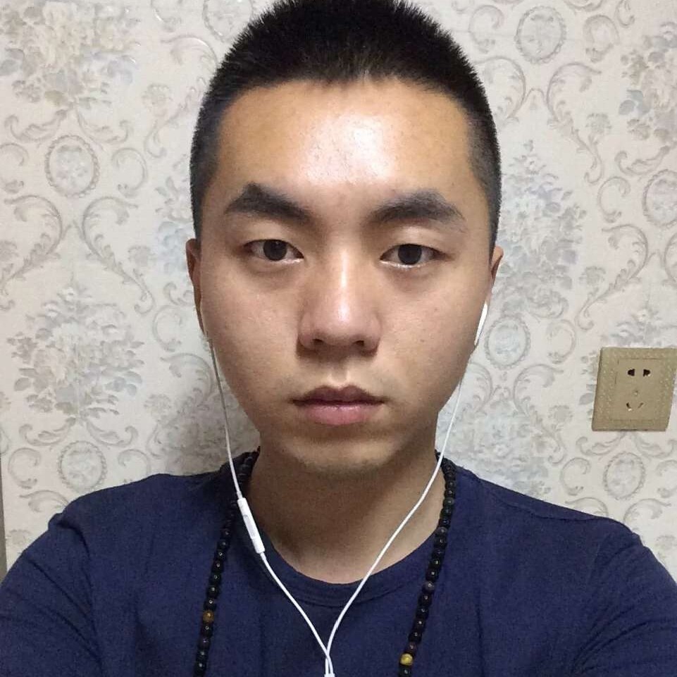 清秀用小海豚的照片