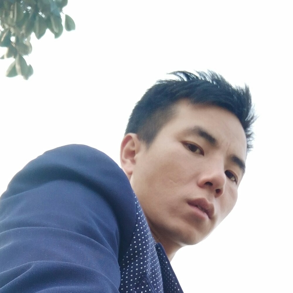迈途理解的照片