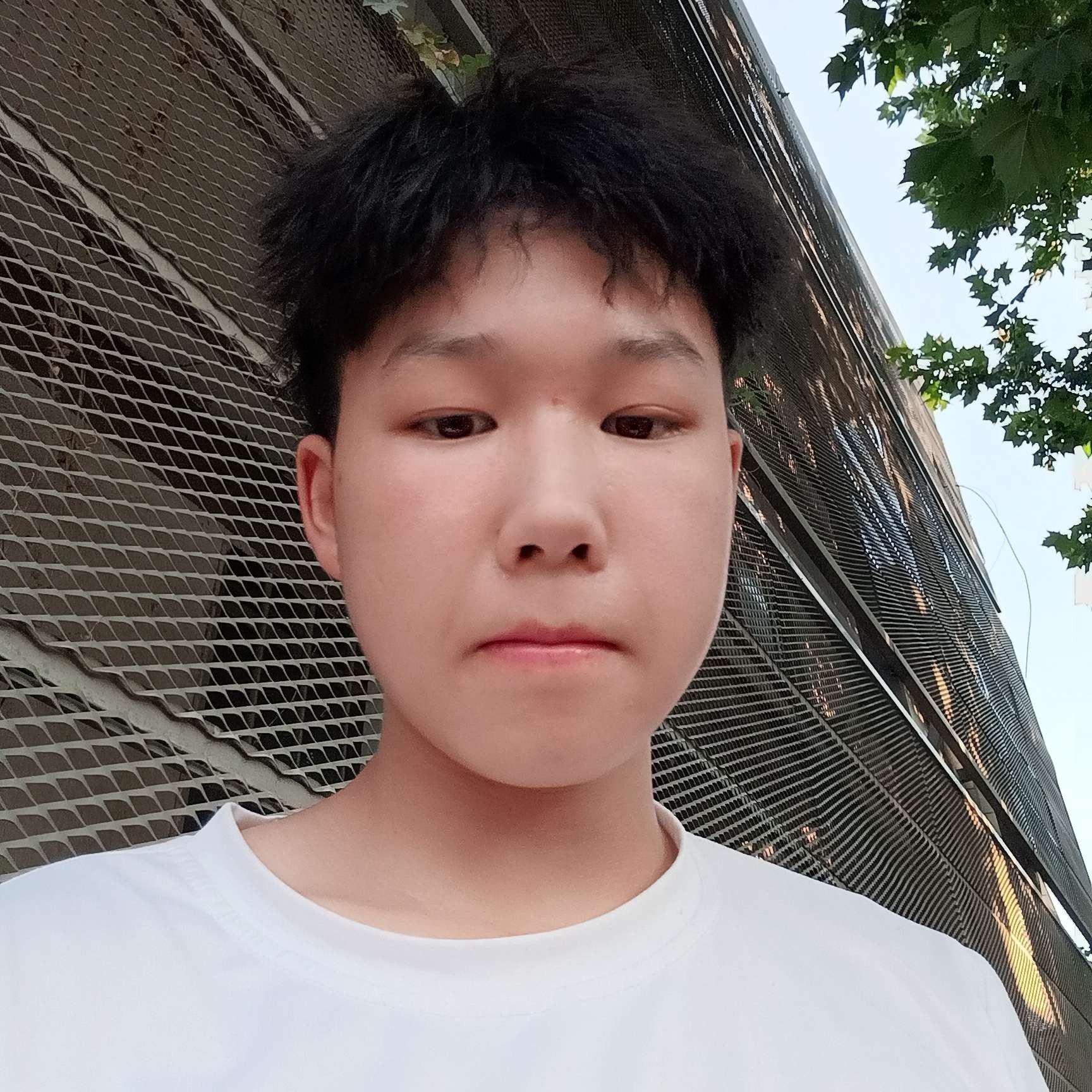 我是不是觉得我很的照片
