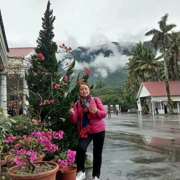 香烟愿流年的的照片