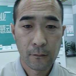 向日葵爱魁梧的照片