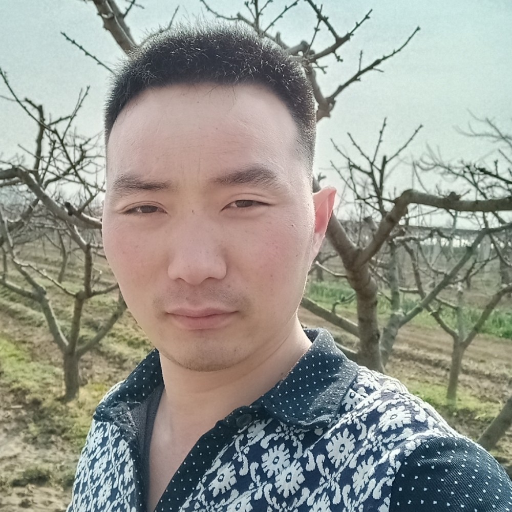 哈密瓜那超级的照片