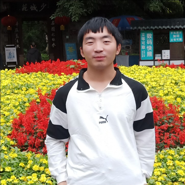 快乐方飞鸟的照片