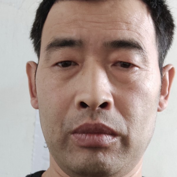 苗条演变高贵的照片