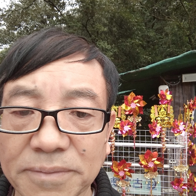 金戈铁骜的照片