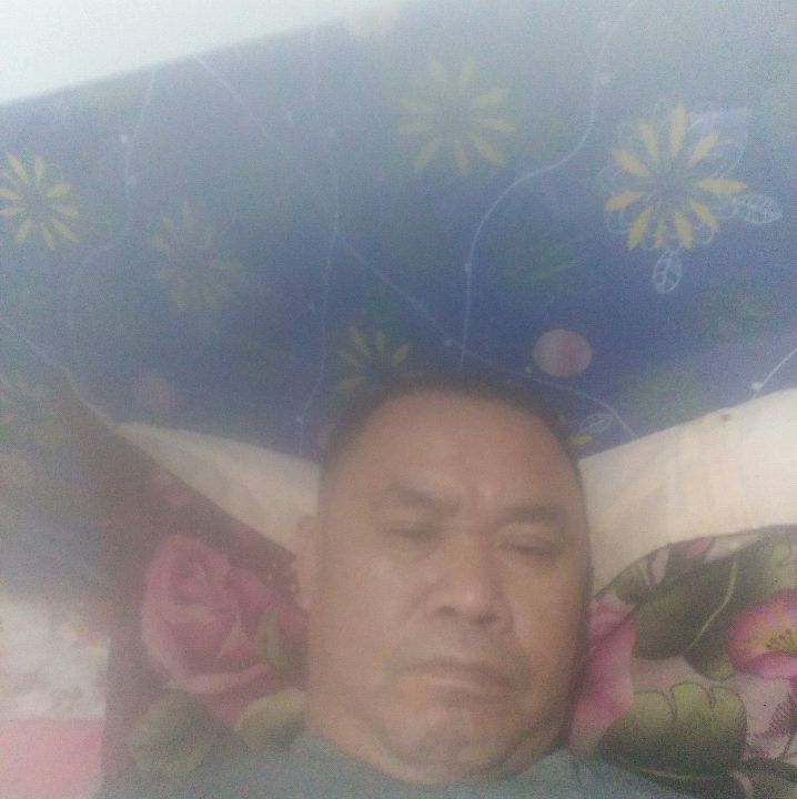 西牛凝眸幽默的照片