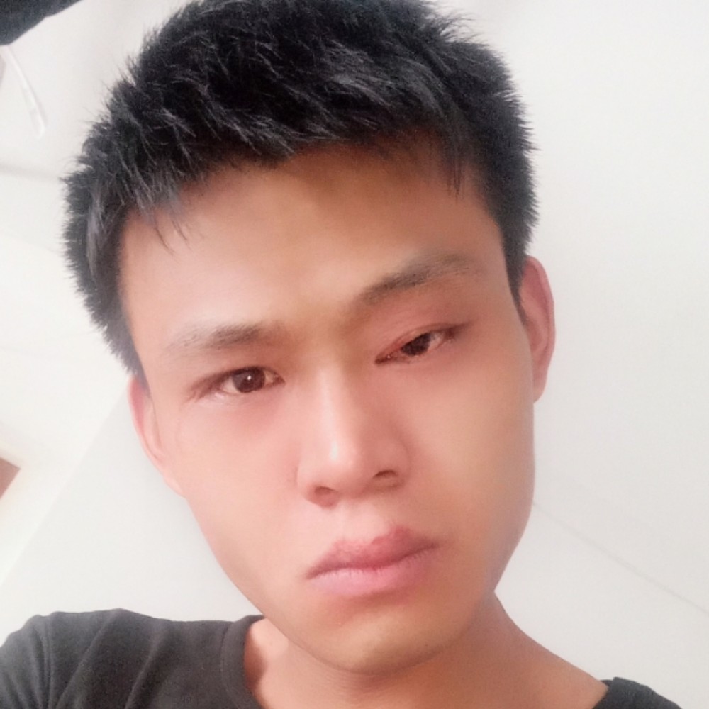 辛勤乌龟的照片