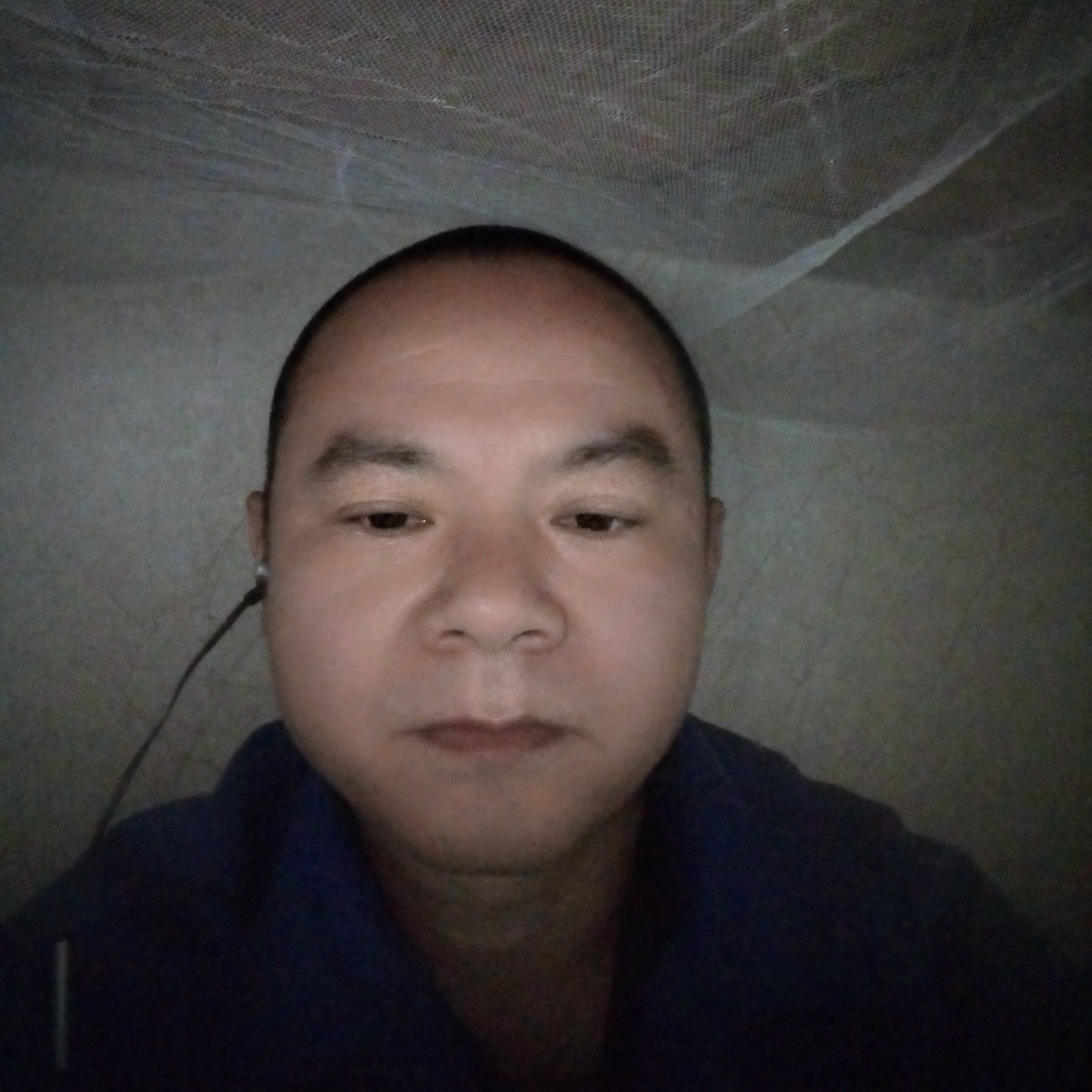 蜻蜓爱恋寂冷的照片