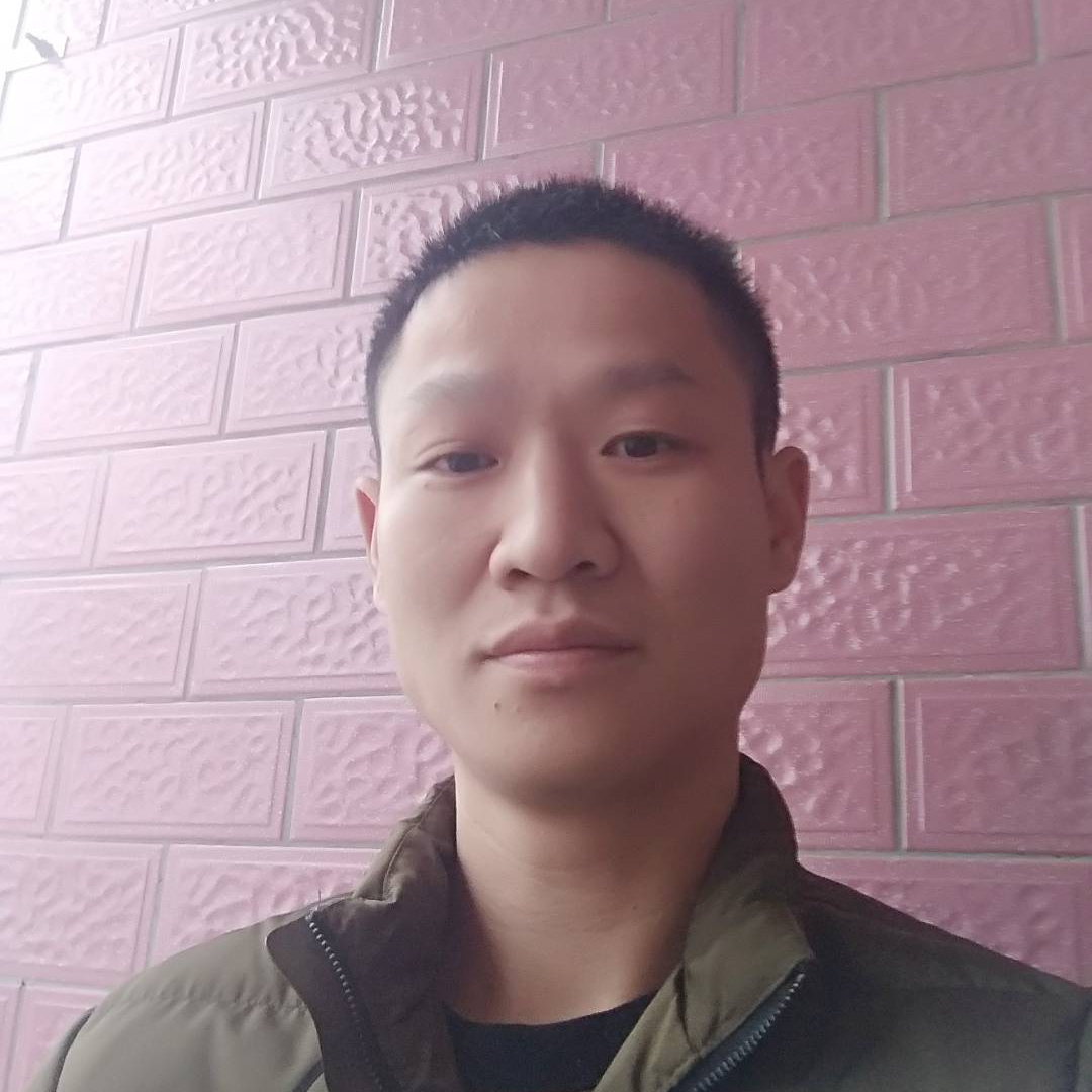 爱听歌与小海豚的照片