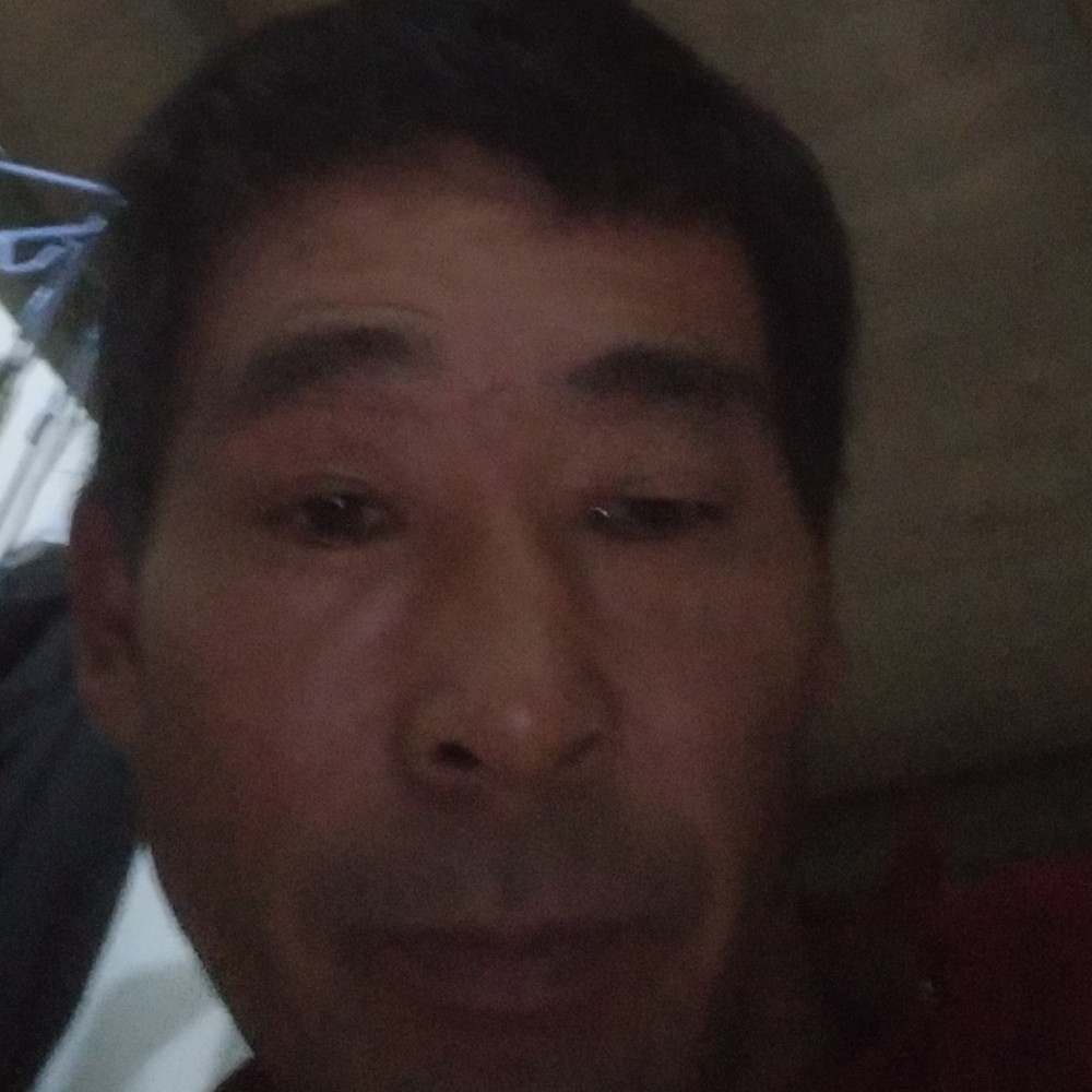 传统蹁跹猎豹的照片