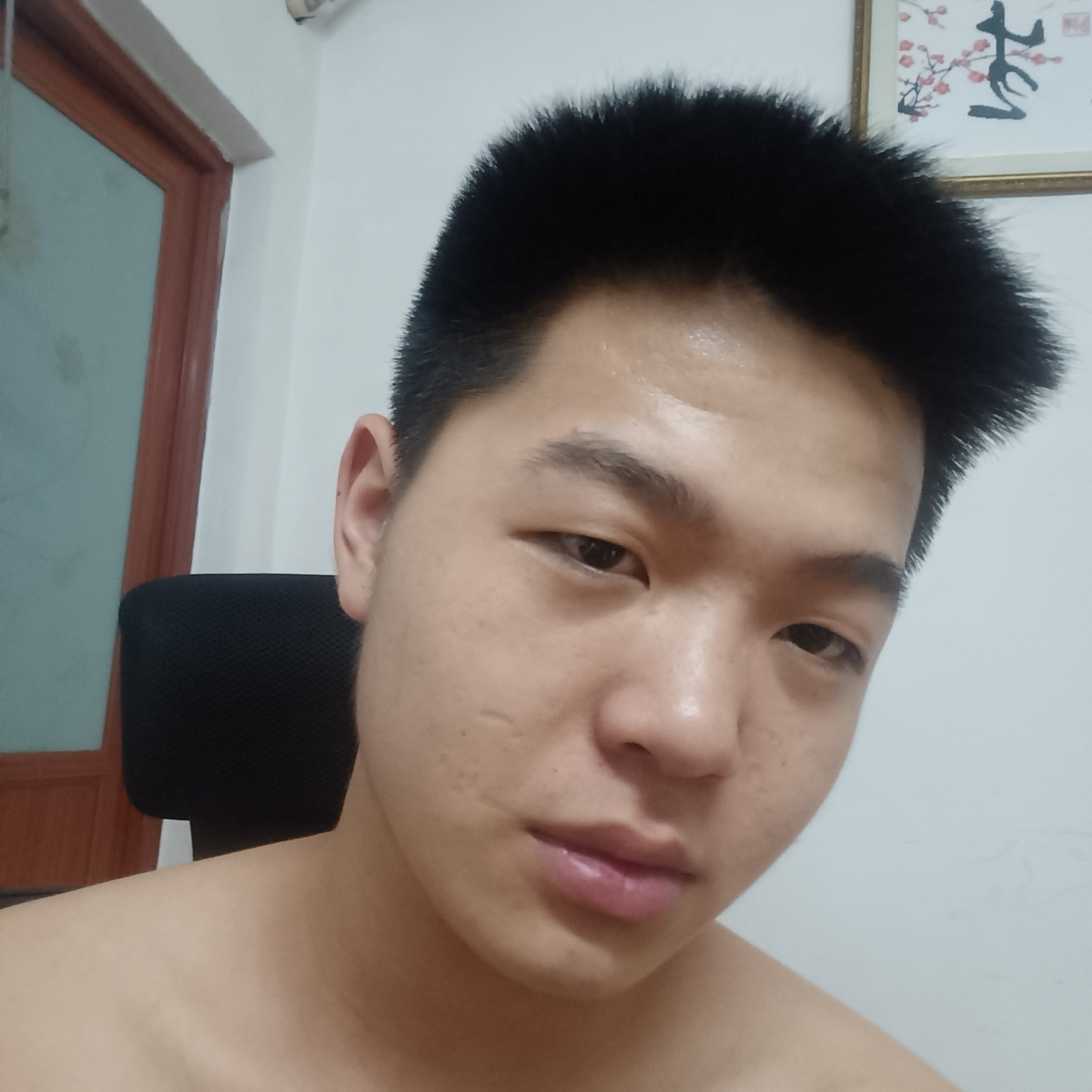 畅快爱小猫咪的照片