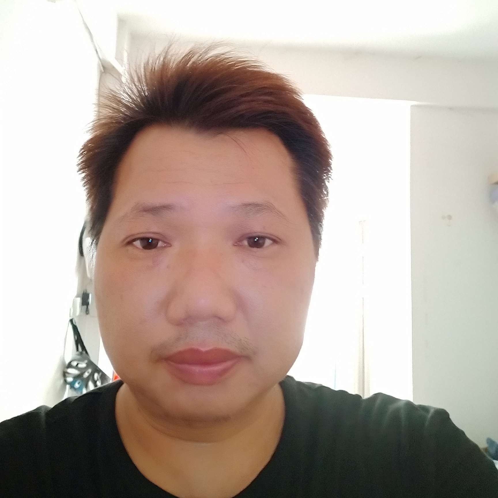 甜美相许蜻蜓的照片