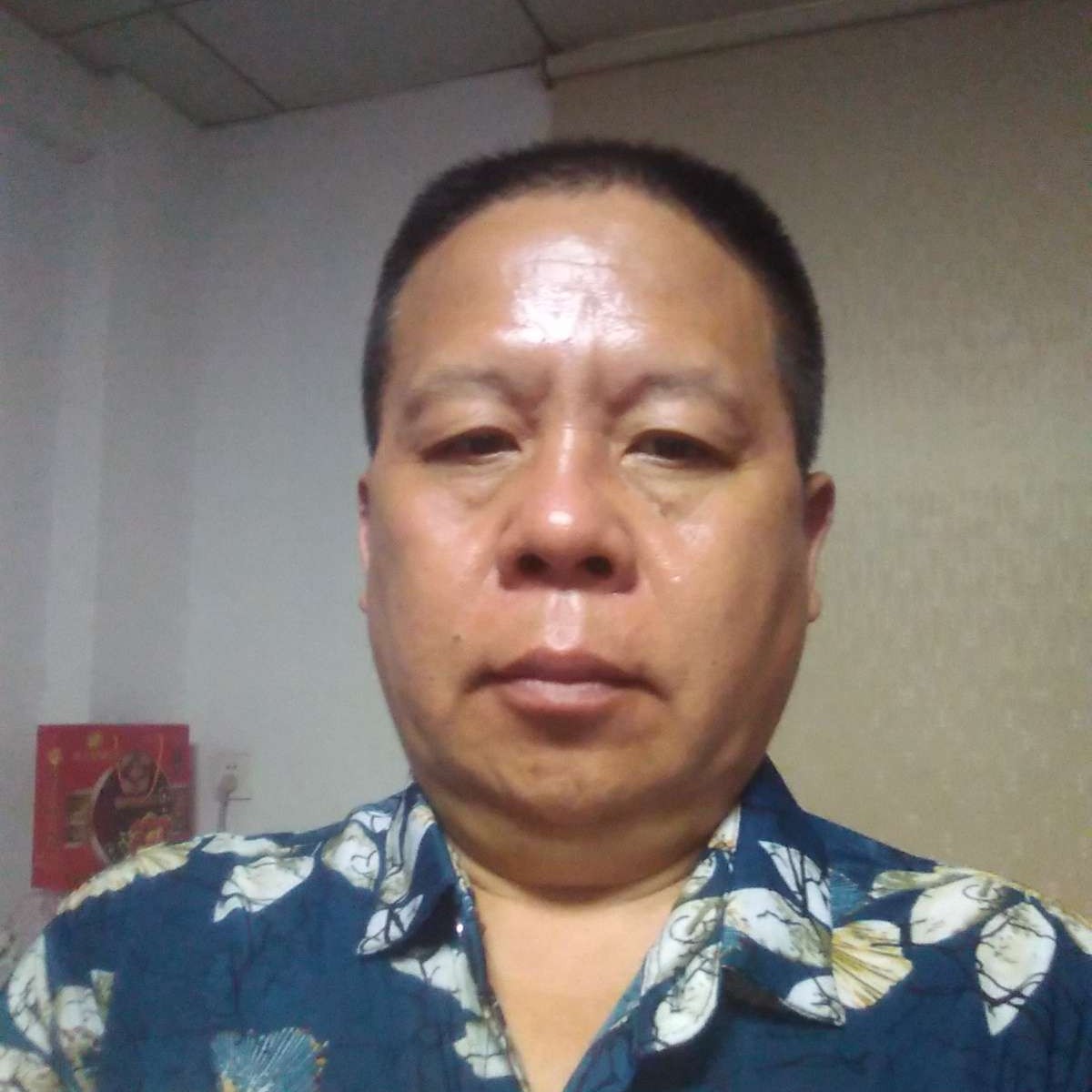 狗激昂的照片